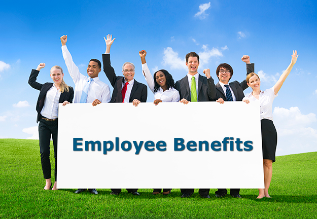  Benefit Package for Your Small Business  The Segrust Group